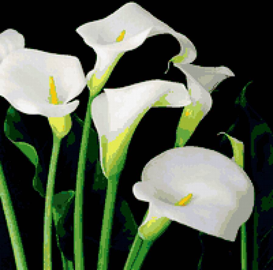 №311326 - предпросмотр