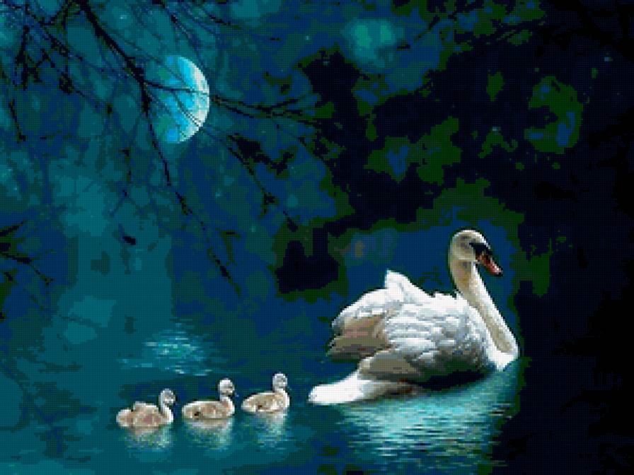 лебединая семья - лебеди - предпросмотр