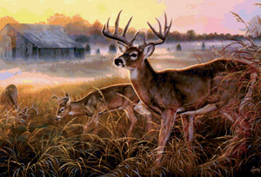 №311494 - предпросмотр