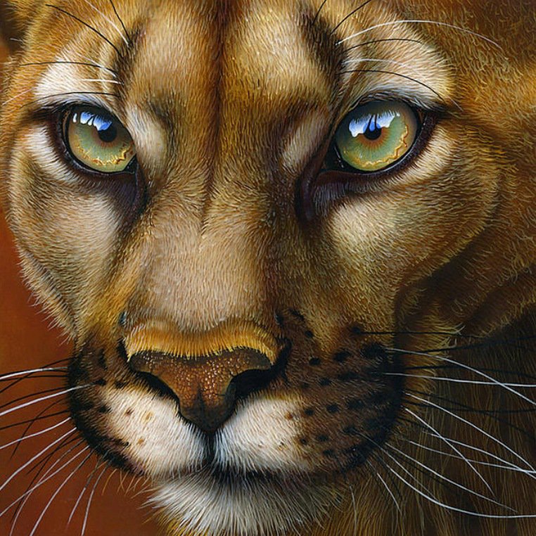 №311516 - оригинал