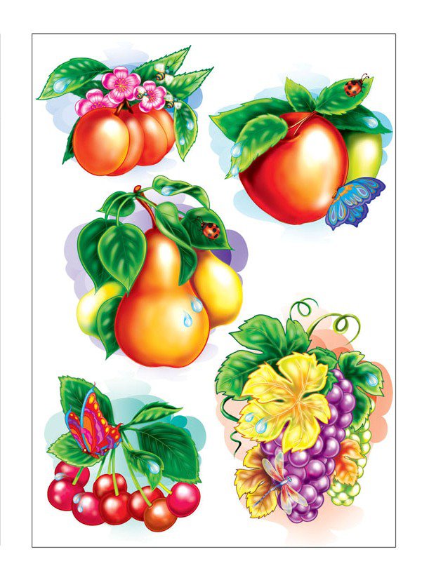 №311573 - оригинал