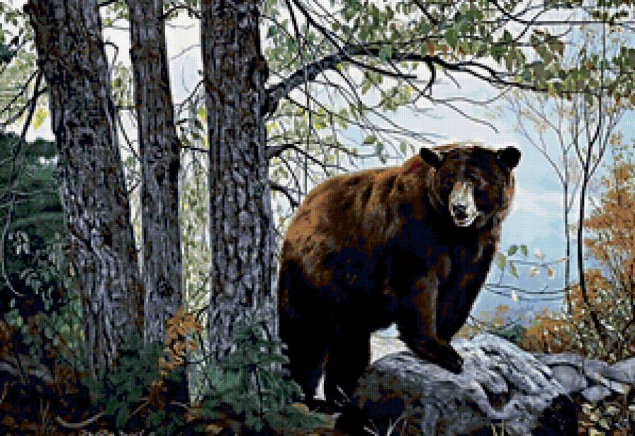 №311821 - предпросмотр