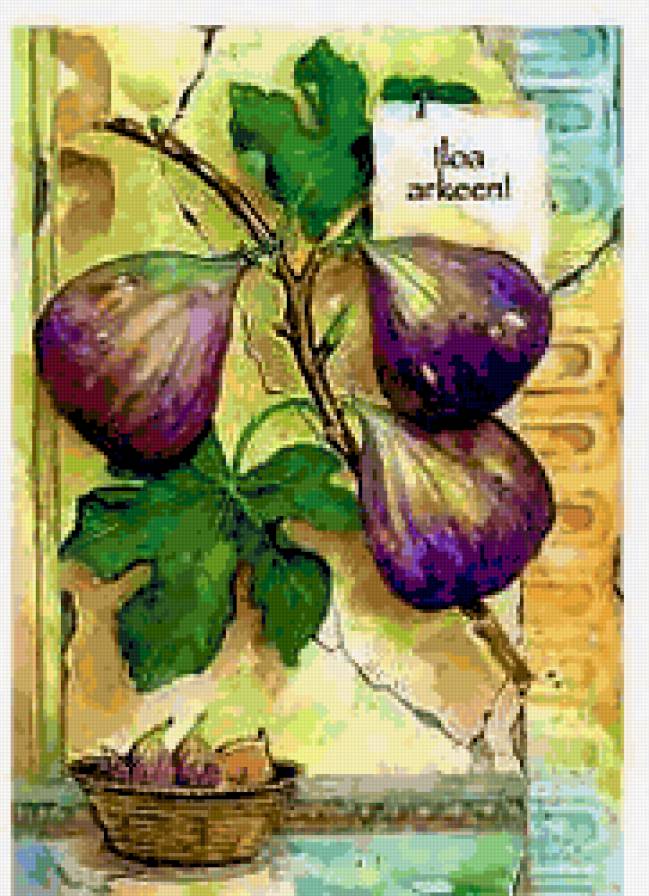 №311865 - фрукты, инжир, для кухни. - предпросмотр