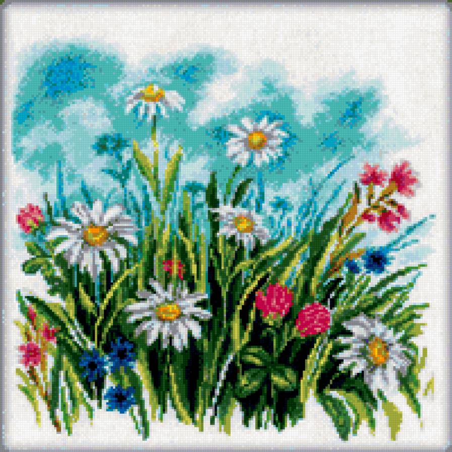 луговые цветы - предпросмотр