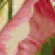 Предпросмотр схемы вышивки «цветы» (№311963)