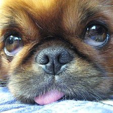 Схема вышивки «№312048»