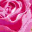 Предпросмотр схемы вышивки «розы» (№312052)