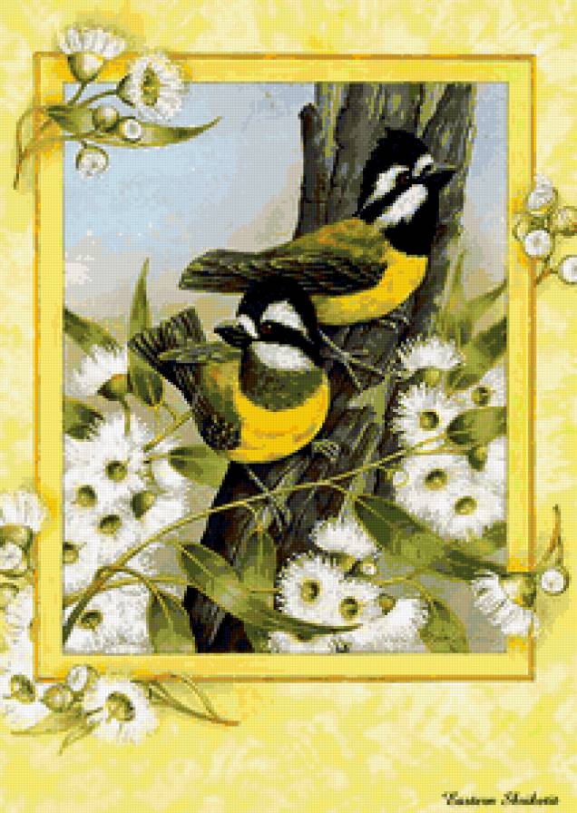 Птицы - предпросмотр