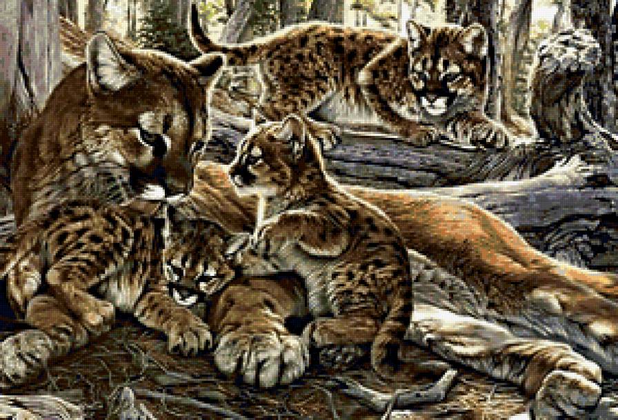 №312153 - предпросмотр