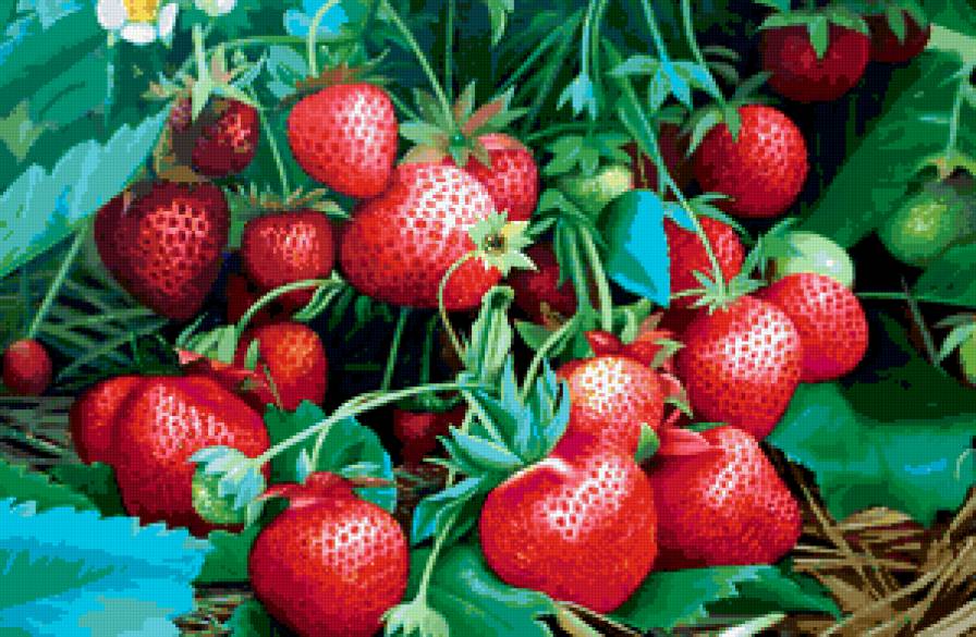 клубника - витамины, ягоды - предпросмотр
