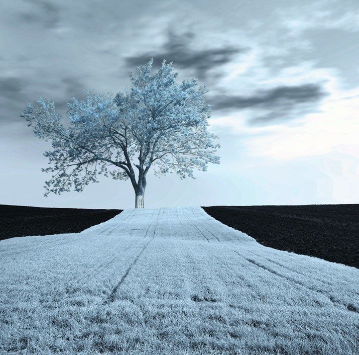 пейзаж - пейзаж - оригинал