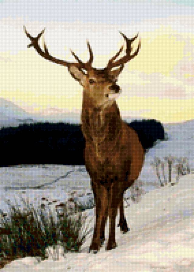 олень - олень - предпросмотр