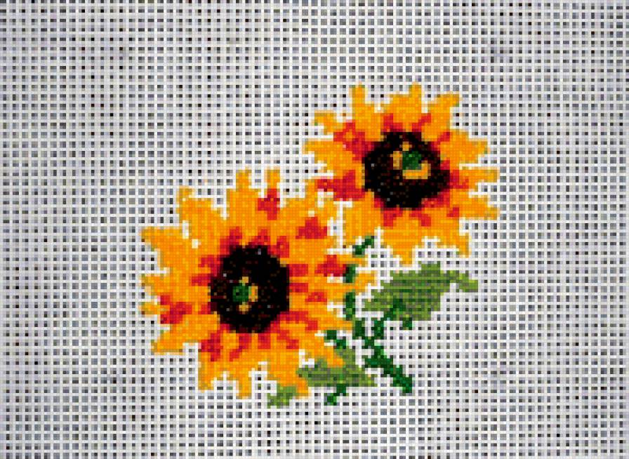 подсолнухи - предпросмотр