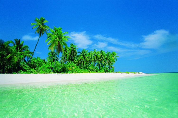 №312433 - оригинал