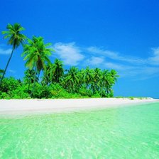 Схема вышивки «№312433»