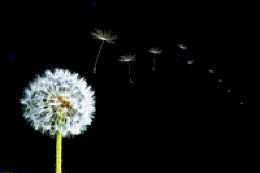 одуванчик4 - предпросмотр