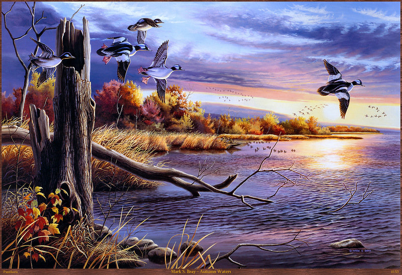 Марк С. Брей Утки - пейзаж, утки, охота - оригинал