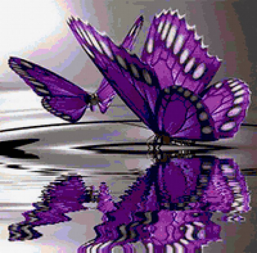 бабочки и вода - вода, бабочки, отражение - предпросмотр