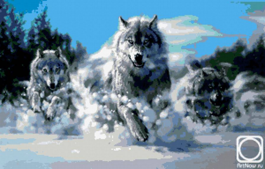 Е. Медведкин Волки - волки, охота, животные - предпросмотр