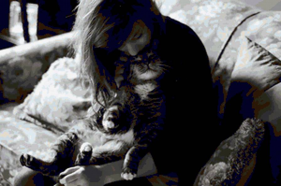 Cat - предпросмотр