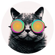 Схема вышивки «Кот в очках»