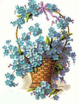 №312634 - цветы, голубые цветы, незабудки, корзина - оригинал