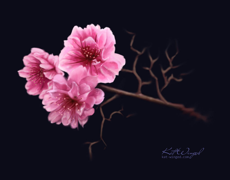 цветок - цветок - оригинал