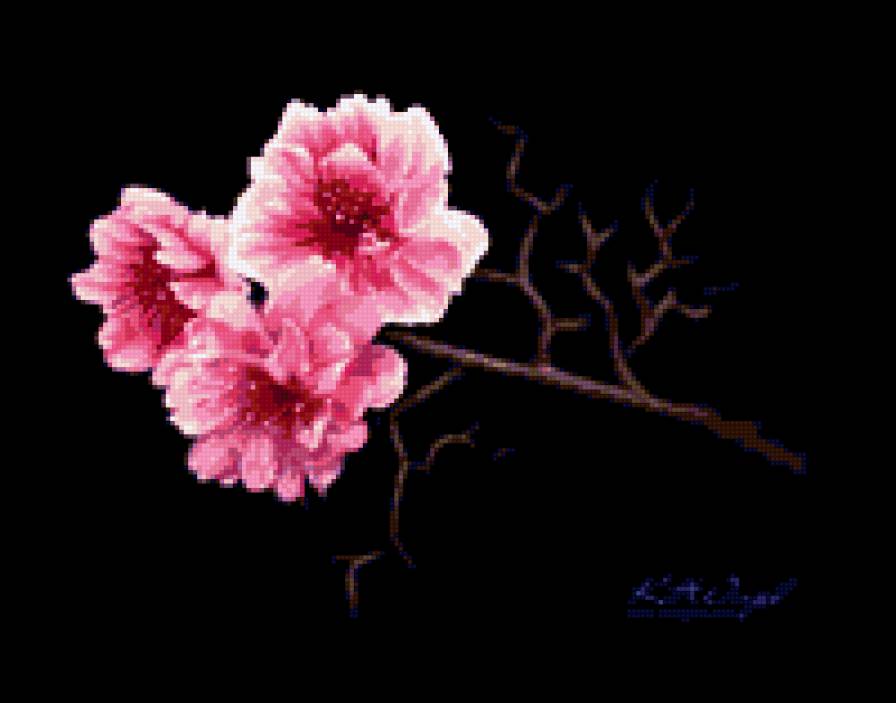 цветок - цветок - предпросмотр