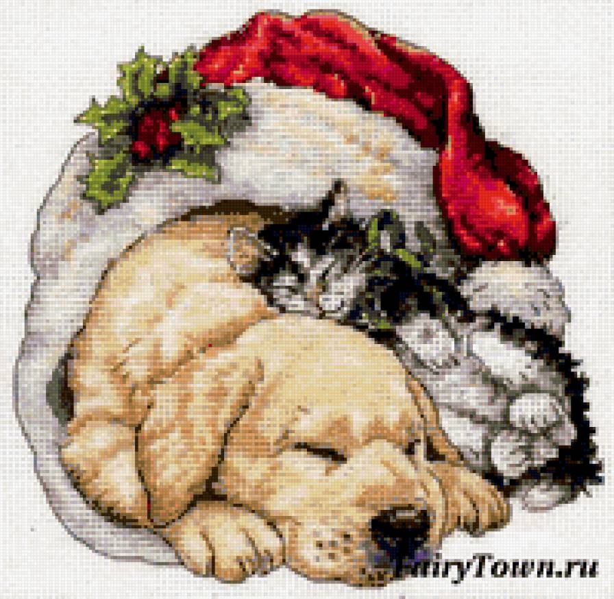 животные - предпросмотр