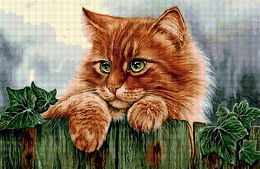 киса - животные - предпросмотр