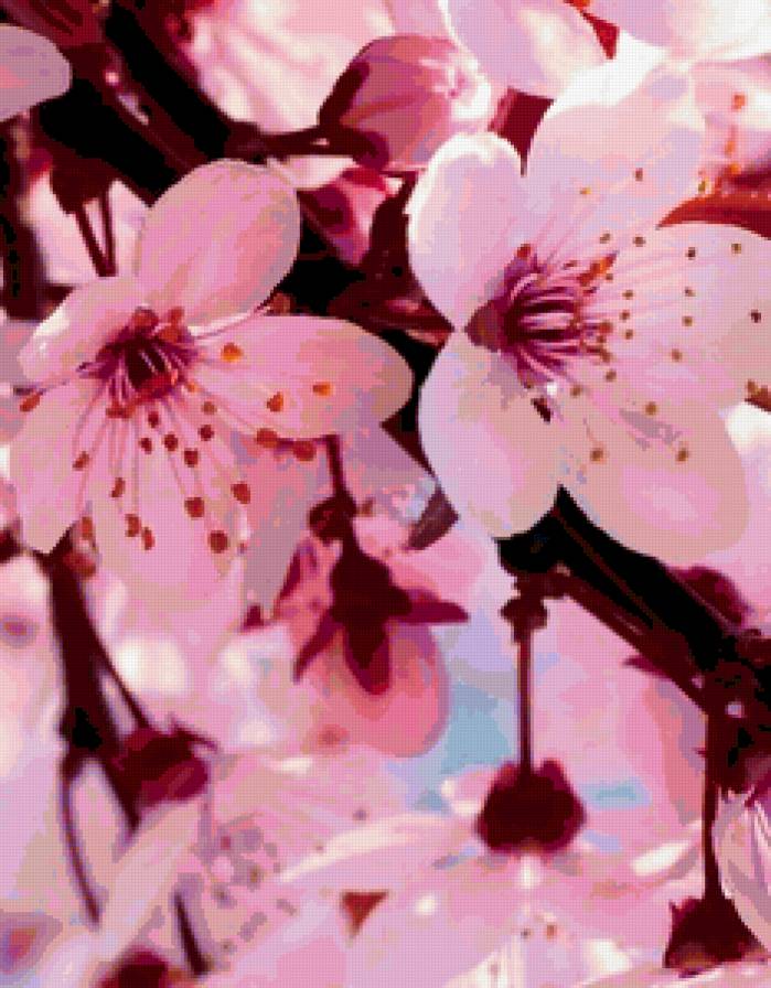 088 - цветы - предпросмотр