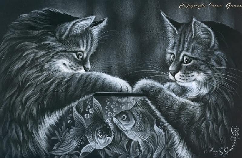 котики - кот, кошка - оригинал