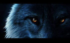 Схема вышивки «волк»