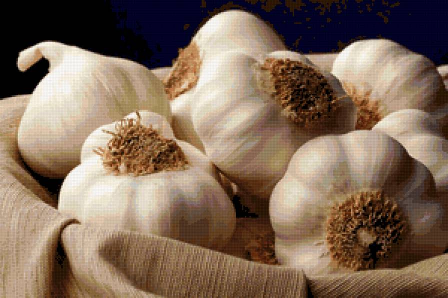 часник - предпросмотр