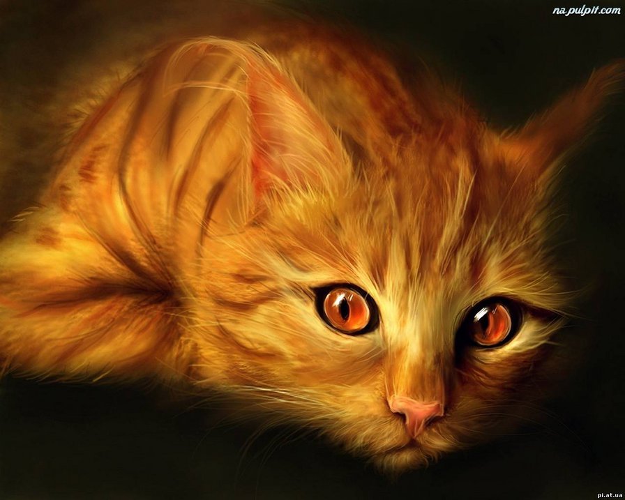 кот - животные, кошки - оригинал