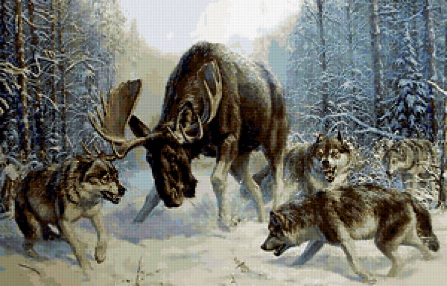 №313253 - предпросмотр