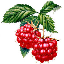 Схема вышивки «№313255»