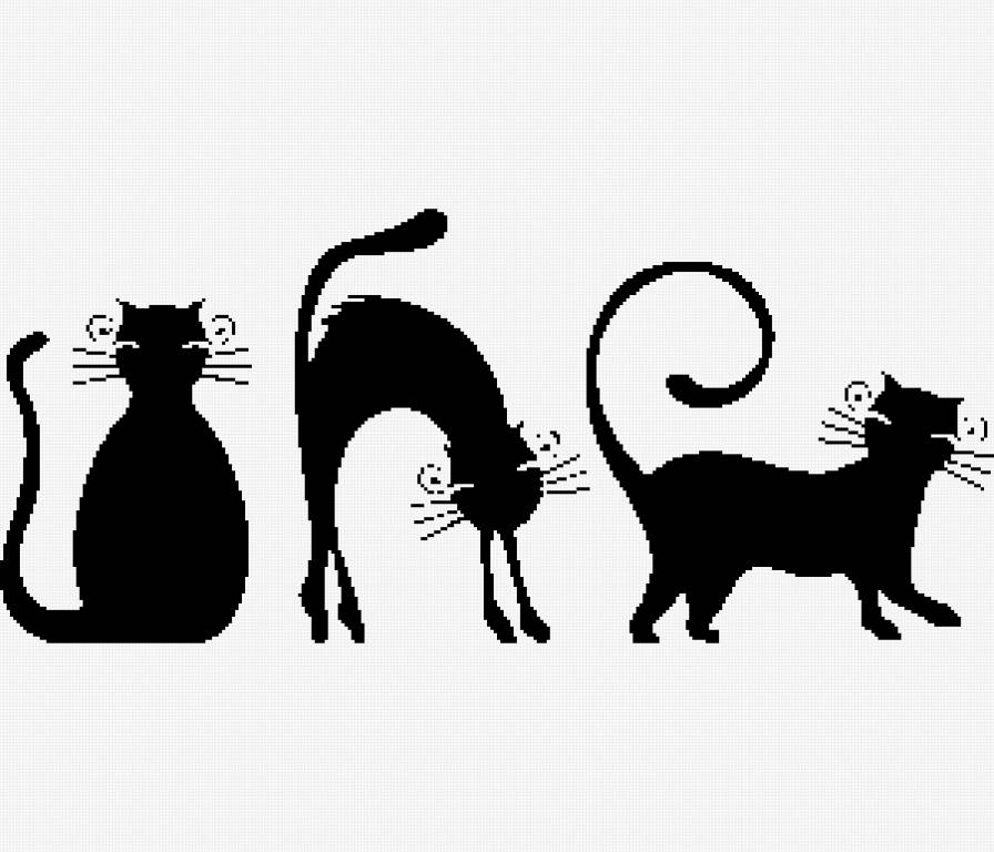 Три кота - черно-белая, тройка, кошка, кот - предпросмотр