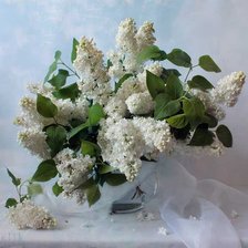 Схема вышивки «№313499»