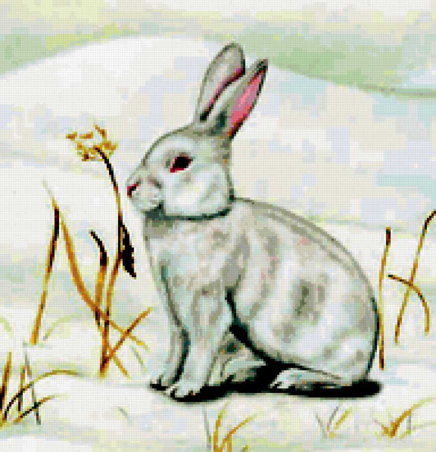 №313524 - предпросмотр