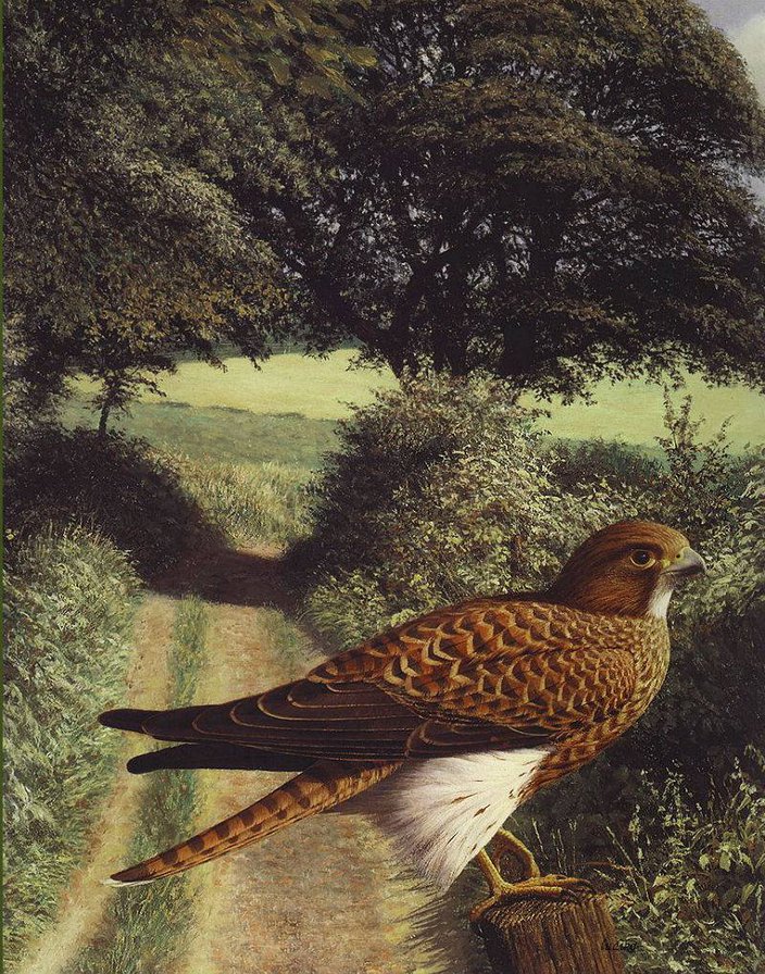 №313548 - оригинал