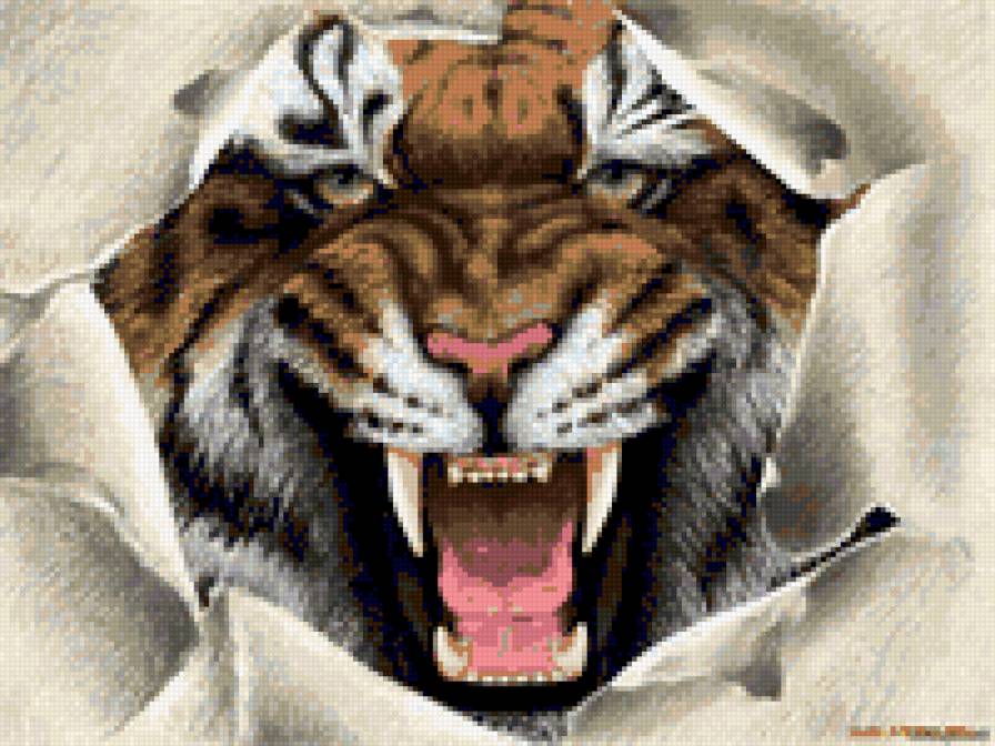 тигр - животные - предпросмотр