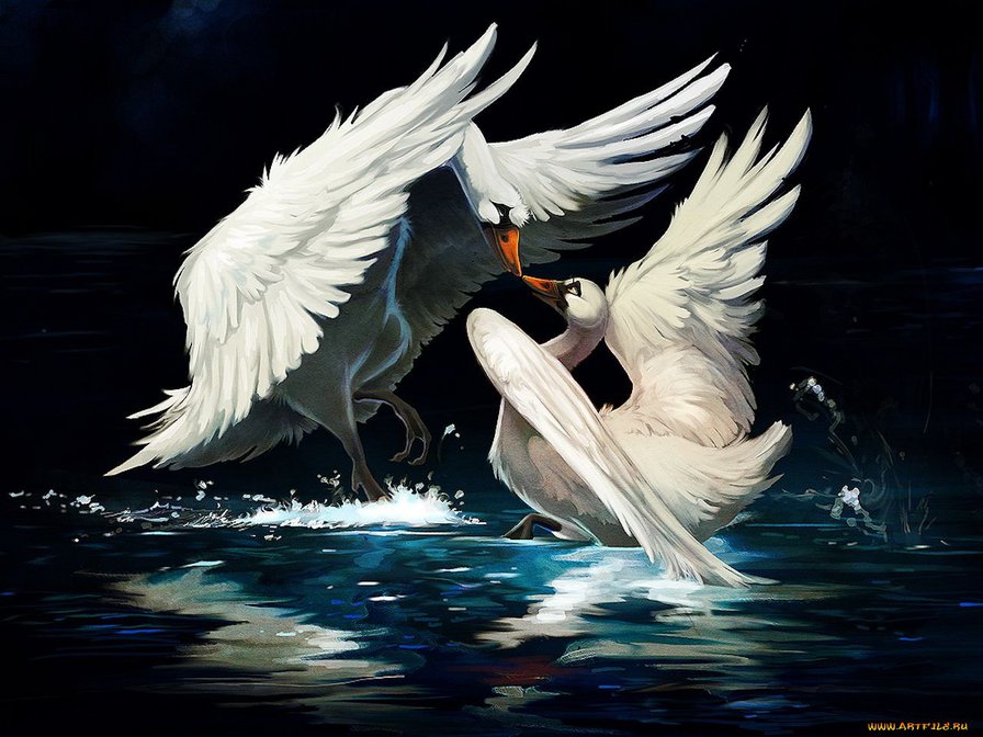 лебеди - животные - оригинал