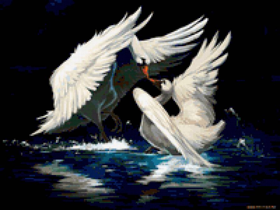 лебеди - животные - предпросмотр