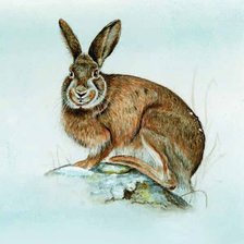 Схема вышивки «№313802»