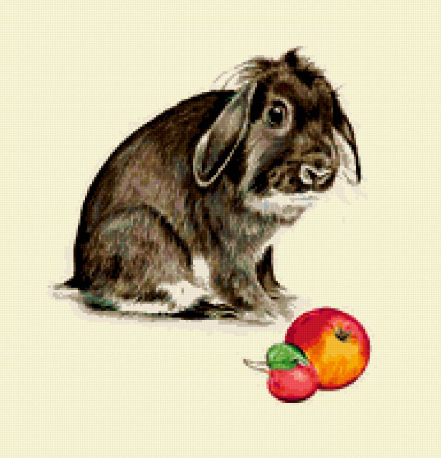 №313817 - предпросмотр