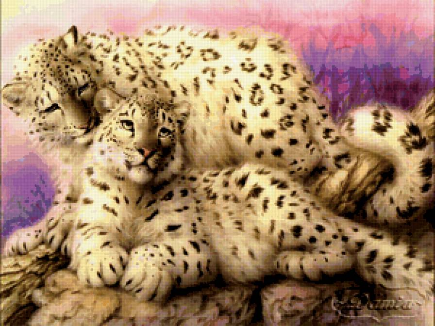 белые барсы - животные, барсы - предпросмотр