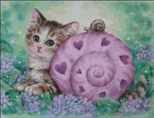 котик и улитка - улитка, природа, котик - оригинал