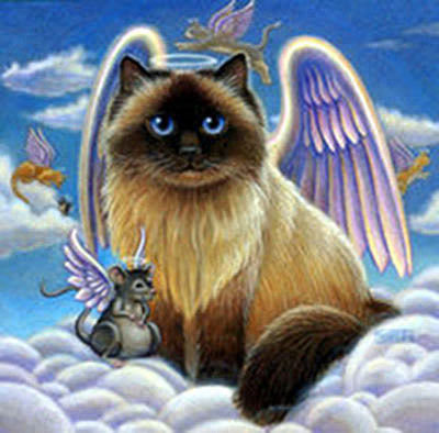 кот и мышь ангелы - ангел, кот, мышь - оригинал