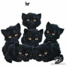 Схема вышивки «шесть котят и бабочка»